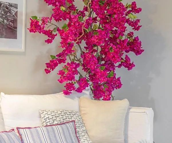 Elia & Anthos Deluxe شقة