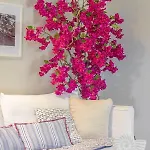Elia & Anthos Deluxe Daire